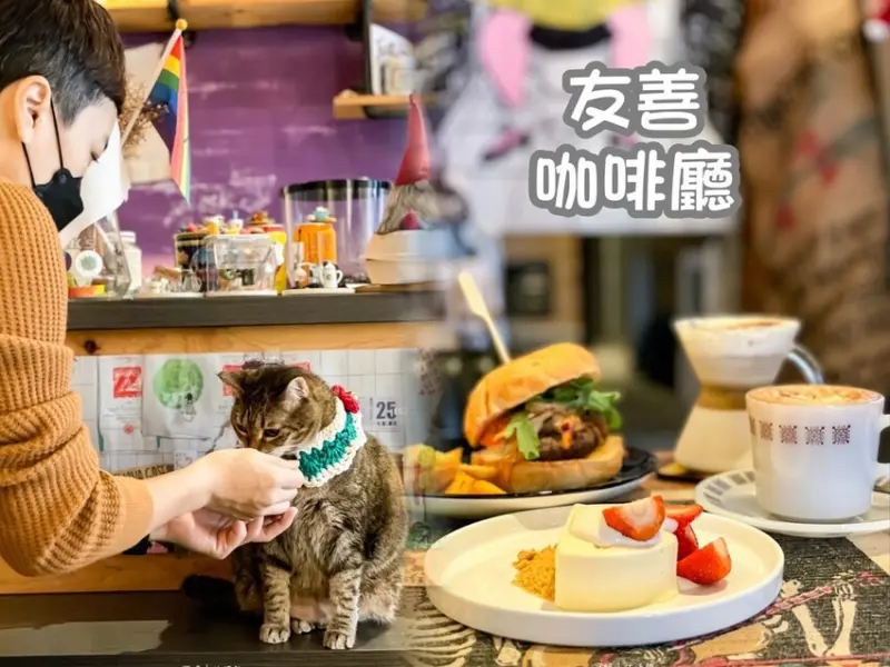 【Born 2 Her Cafe】中西區咖啡廳推薦，台南火車站巷弄美食，附插座的友善貓貓空間
