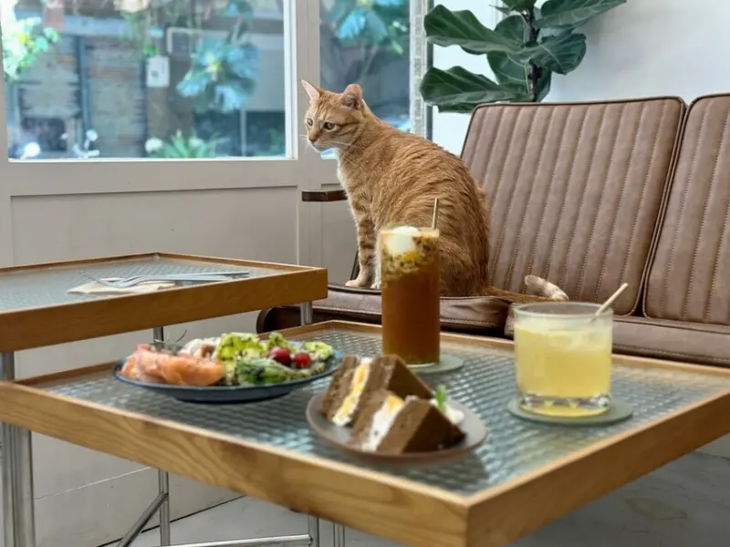 【台北松山咖啡廳】暫停工作室 PAUSE Studio：韓系極簡咖啡廳有貓有布丁甜點還有早午餐︱南京三民站交通、菜單、評價