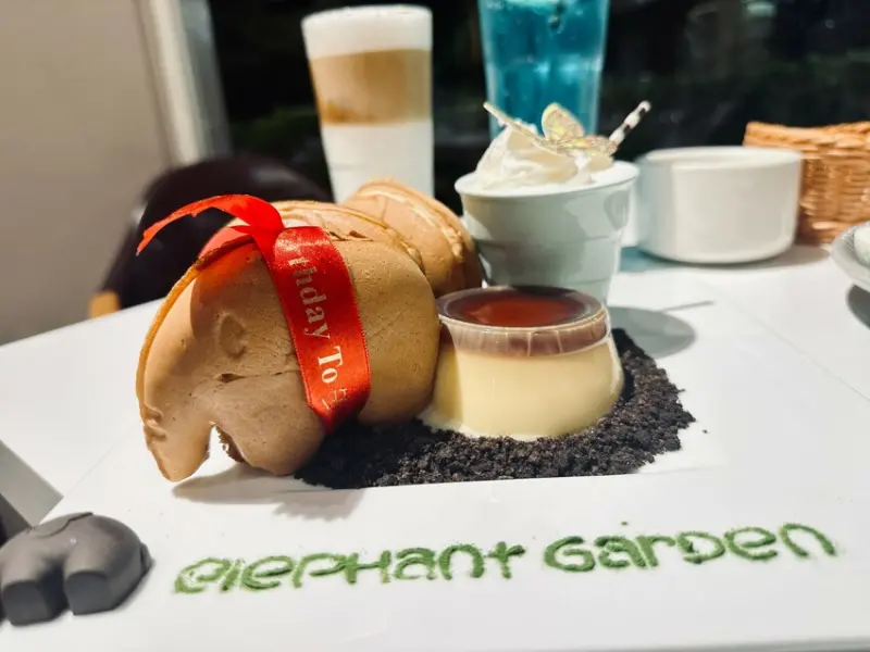 台北，內湖︱文德站：象園咖啡家庭親子餐廳︱面碧湖公園生日壽星還送小象鬆餅還有好吃的早午餐