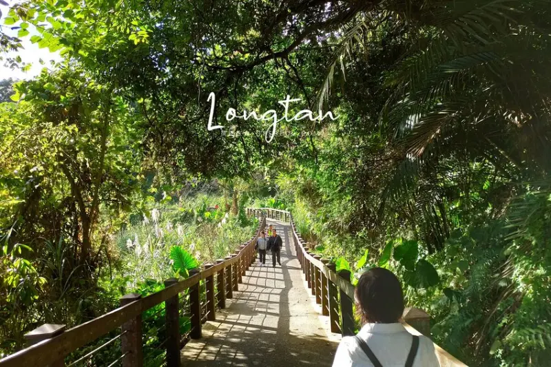 桃園景點／大平紅橋－百年糯米橋！龍潭典雅五拱紅橋，臺灣歷史建築百景之一