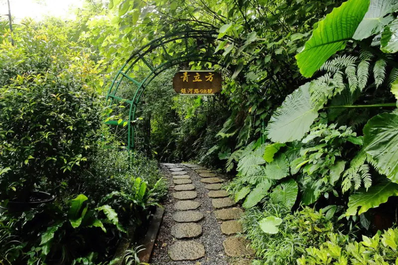 青立方 Greenery Cube Café/小珊珊提供