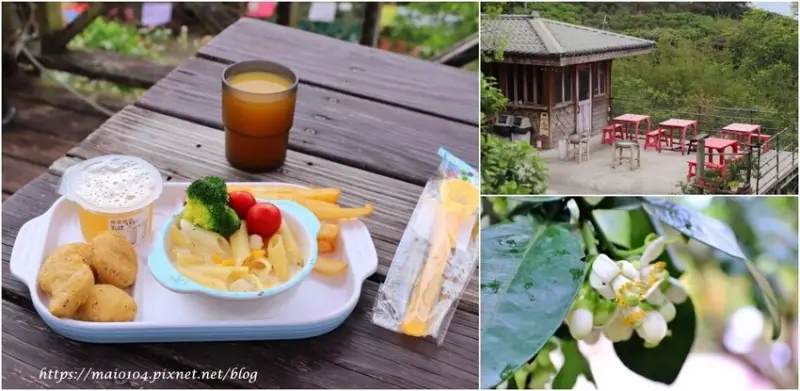 八里景點｜桃樂絲柚香農場～隱身在山林裡的秘境，入園免門票、享受豐富的自然生態、親近小動物