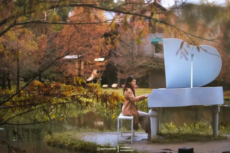 苗栗住宿推薦｜最新10間苗栗超美森林系民宿、飯店、 特色旅宿推薦【評價、房價、IG熱門住宿】