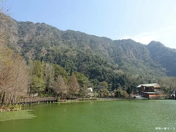 <吃。在南投>水里鄉-車埕儲木池旁日式木造建築中喝下午茶~隱茶 Steam~