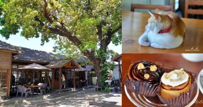 台東縣台東市【台東】太麻里文創咖啡，店貓坐鎮，日式警察宿舍改建老宅咖啡廳