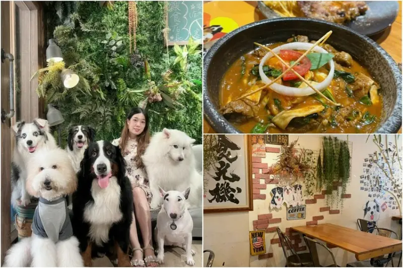 桃園內壢必去人氣寵物友善餐廳— 食·光機 Food Machine，滿滿的五隻店狗讓你撸到爽，還可以跟他們一起合照留