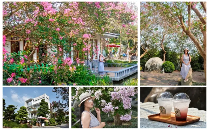 彰化田尾鄉｜台灣銘園庭園美術館 台版兼六園 珍奇老樹、奇岩異石、庭園造景 全台最大面積小花紫薇盛開 IG網美集散地 探訪日期110/08/29