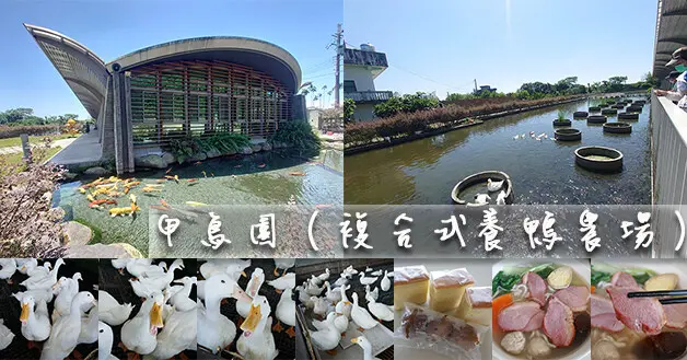 【宜蘭景點】甲鳥園(寵物友善景點)，一個能與鴨子親近的地方顛覆我對鴨寮的傳統印象，體驗餵鴨子、品嚐各式鴨製品有鴨蛋滷蛋、鴨蛋糕、櫻桃鴨料理等。宜蘭親子旅遊景點