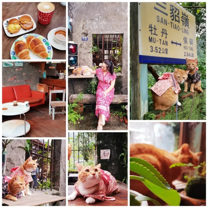 【新北.瑞芳】三貂嶺廢墟咖啡。Cafe Hytte隱藏版秘境咖啡超好拍