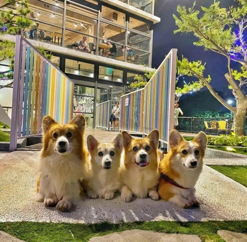 2023 最新【新竹景觀餐廳】推薦21家新竹必去景觀餐廳，一次坐擁湖畔山景、百萬夜景、森林秘境