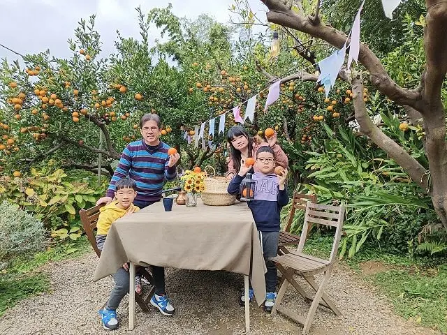 苗栗縣頭屋鄉橙香森林 | 苗栗景觀餐廳．超美橘子森林．季節限定採果體驗好有趣．療癒系場景超好拍照打卡