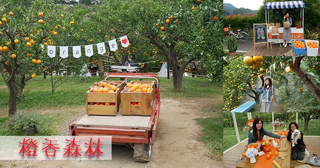 【苗栗景點】橙香森林(寵物友善景點)，一座經營得相當用心的橘子果園，多種主題佈置的擺設，很適合愛拍照的人來到這邊拍美照，還能享受親自採果的樂趣。苗栗採果旅遊景點