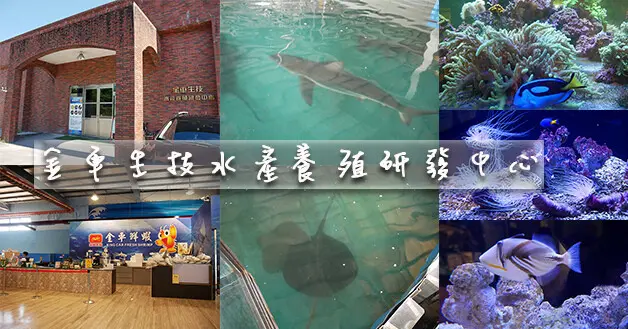 【宜蘭景點】金車生技水產養殖研發中心(寵物友善景點)，可以觀賞多種海洋生物，全台唯一鯊魚餵食體驗，站在透明玻璃觀魚台看著腳底下的鯊魚、魟魚悠游。宜蘭親子旅遊景點