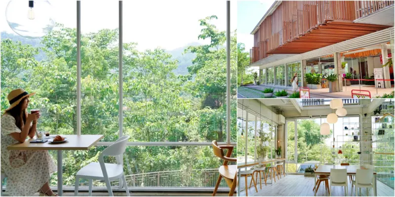 南投縣魚池鄉｜蠻荒咖啡 Desolate Coffee