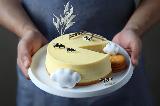 台中乳酪蛋糕推薦水母吃乳酪！減法飲食輕盈0負擔，女孩最愛台中乳酪蛋糕推薦