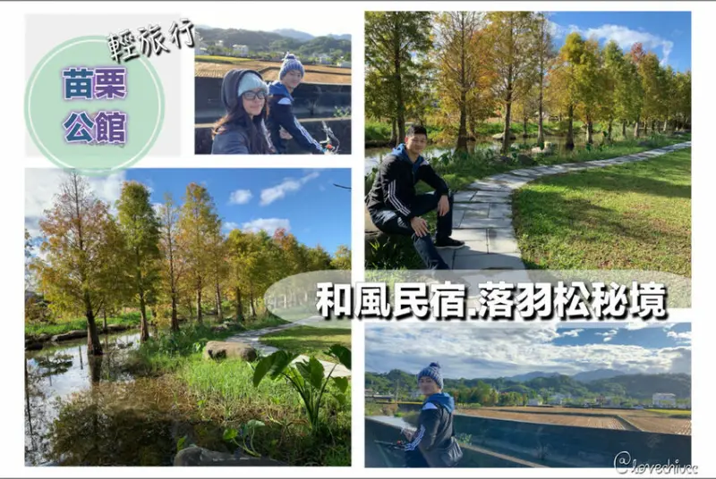【苗栗住宿】苗栗公館和風民宿&和風食堂 一泊二食品嘗道地客家菜餚 私人落羽松秘境、客家圓樓、鶴岡千年老樹景點二天一夜輕旅行