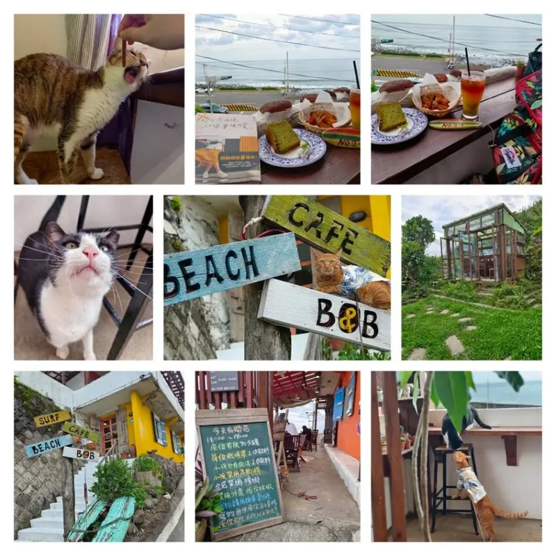 【台北.金山】北海岸海景咖啡廳推薦。金山跳石沒有名字的咖啡店。寵物友善。有阿肥店貓駐店