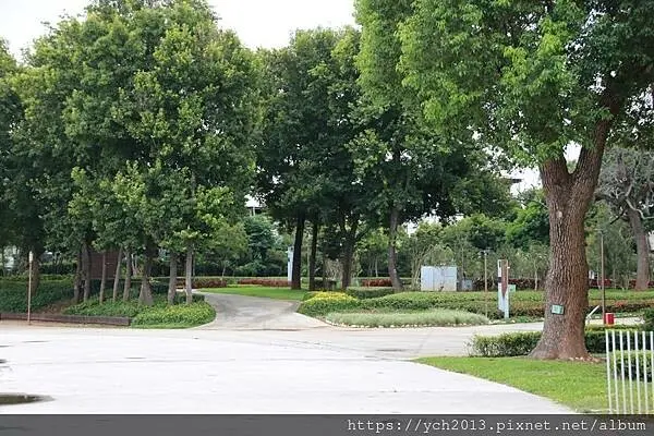 台中后里景點與美食／后里森林公園與鹿行艸地冰店吃油條冰