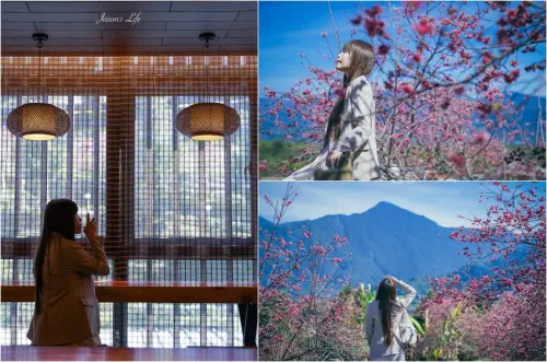 【南投魚池｜景點】HOHOCHA喝喝茶。南投茶葉伴手禮，可免費體驗品茶及茶葉蛋，還有隱藏櫻花步道