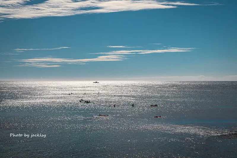 230123屏東-海龜咖啡 sea turtle cafe+阿嬤麵店