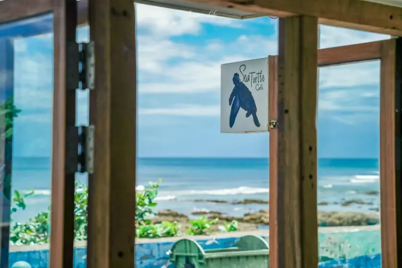 【屏東恆春｜美食】海龜咖啡 SeaTurtle Cafe。萬里桐咖啡廳推薦，海景下午茶，享用手工甜點和咖啡