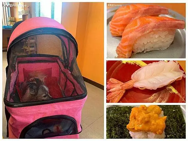 台中美食－スシロー壽司郎 台中黎明市政南店 鮮甜厚實的生魚片 薄脆酥香的炸草蝦 值得一訪再訪的好味道 寵物友善迴轉壽司