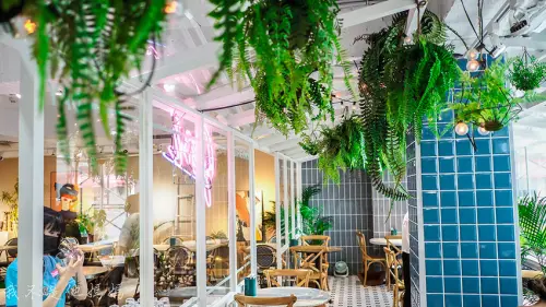 JAI宅 西門店  IG洗版打卡森林系網美餐廳  浪漫玻璃屋 滿滿綠色植物點綴  人氣橘醬義大利麵   近捷運西門站