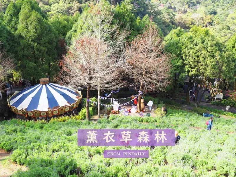 【台中景點】台中新社・薰衣草森林／正逢2020薰衣草節「森林派對」，一同在浪漫莊園中感受大自然的美好
