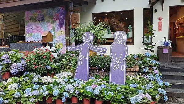 【薰衣草森林】假日放電，享受森林浴的好地方