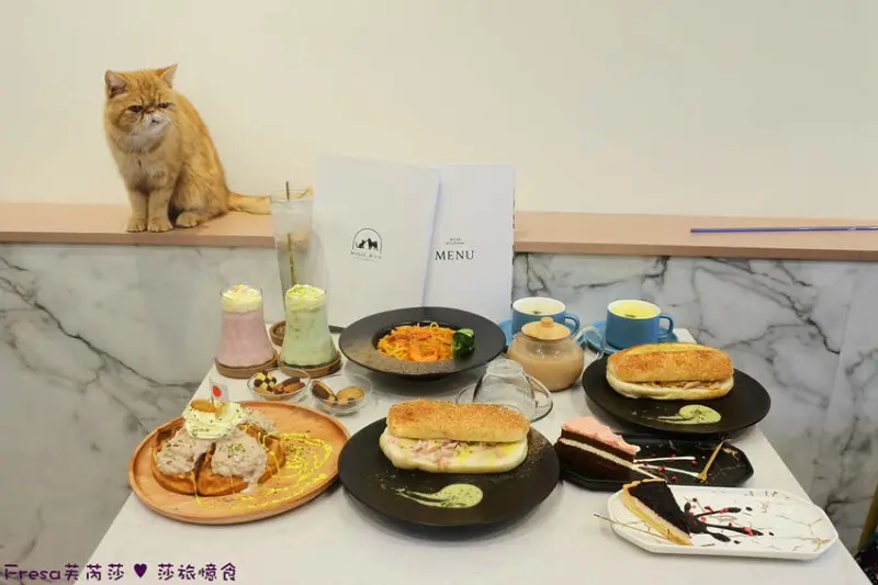 台南寵物餐廳【魔法咪嚕】喵星旺狗坐檯陪吃有夠可愛！餵食趣感受被圍繞的歡迎式│義式輕食│永康美食 - Fresa芙芮莎♥莎旅憶食