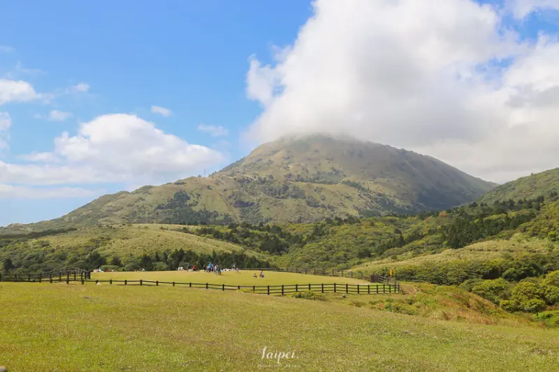 【台北景點】陽明山擎天崗步道一日遊，大草原看水牛群！(交通/停車場/附近景點)