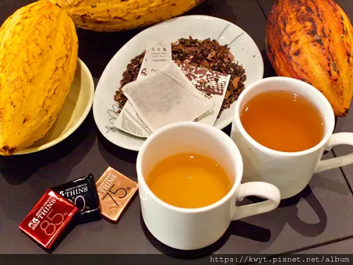 【台南中西區美食景點】阿信巧克力農場台南店。老宅裡的溫度甜點，防疫外帶優惠，全品項限時8折！