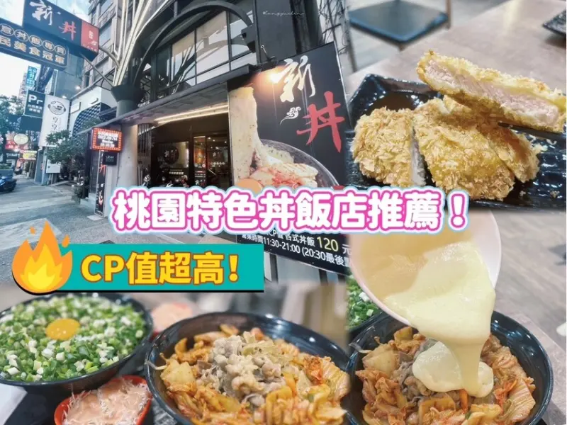 [ 桃園食記 ] 新丼創意丼飯專賣 桃園中正店 | 大份量創意丼飯推薦 | 桃園夜市美食推薦 | 超邪惡的起司丼飯
