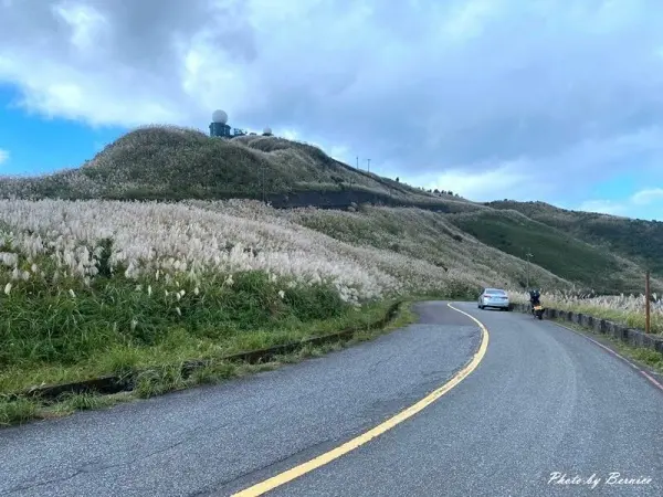 ▲新北瑞芳五分山芒花景點，滿山芒草花海、絕美山海景必拍。
