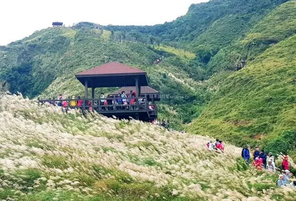 ▲新北草嶺古道秋季必拍芒花與海景美景。