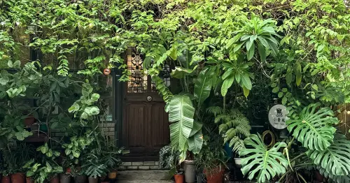 捷運市政府咖啡廳推薦！小青苑 信義區森林系秘境，復古收藏打造城市綠洲。