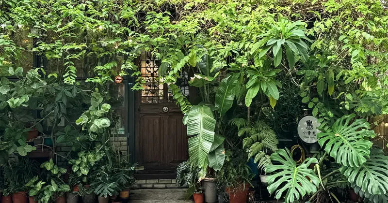 捷運市政府咖啡廳推薦！小青苑 信義區森林系秘境，復古收藏打造城市綠洲。