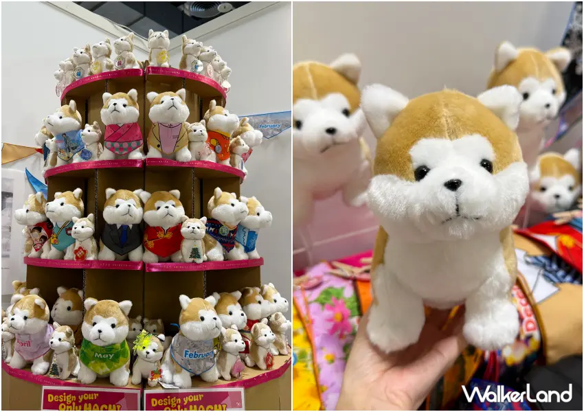 ▲澀谷忠犬八公概念店,和服、女僕裝秋田犬玩偶,拍立得大賞等你拿。(攝影:鄭亦庭)