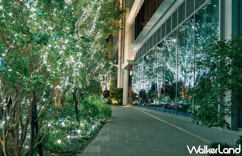 ▲2025年「光之道」的示意圖,燈光從廊柱間垂墜,營造出浪漫的光廊效果