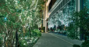 2025台中聖誕節「勤美草悟聖誕村」11月21日點燈，7米聖誕樹、夢幻光之道必拍。