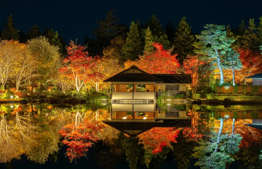 ▲去年紅葉銀點燈祭湧入約20萬人次,可見魅力有多驚人,今年「黃葉・紅葉祭&秋夜散步2025」即將登場。