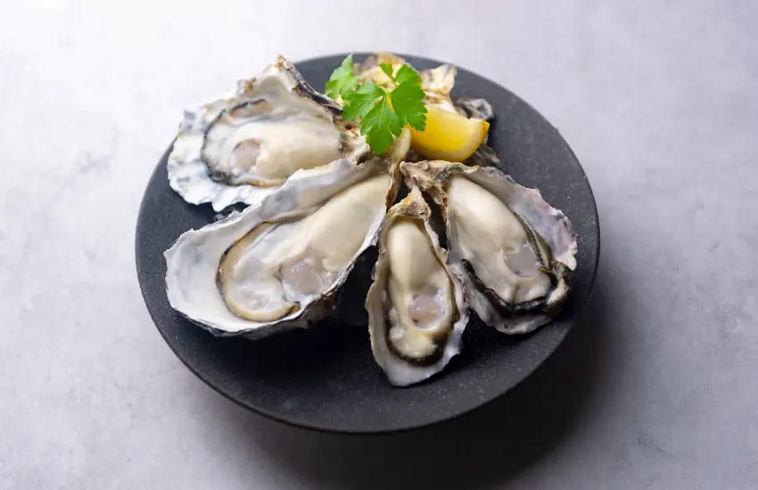 ▲2025年11月4日8TH SEA OYSTER Kitchen在「虎之門Alcea Tower」1樓美食廣場正式開幕。