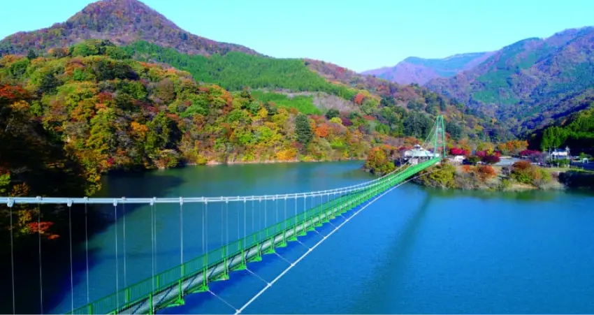 ▲橫跨峽谷的吊橋本身就是工程奇蹟，加上周圍層層疊疊的紅葉襯托美不勝收。