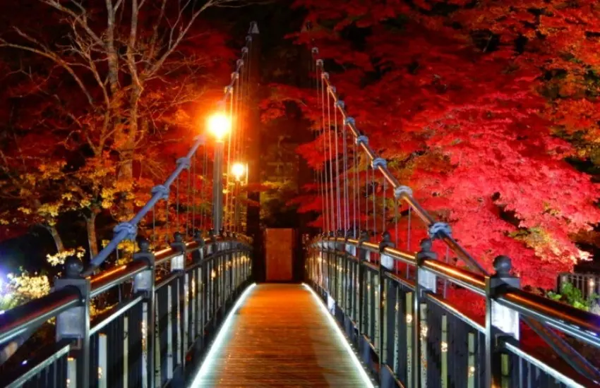 ▲箒川清澈的溪流與名符其實染成「紅色」的楓樹形成絕妙對比，景色美不勝收。