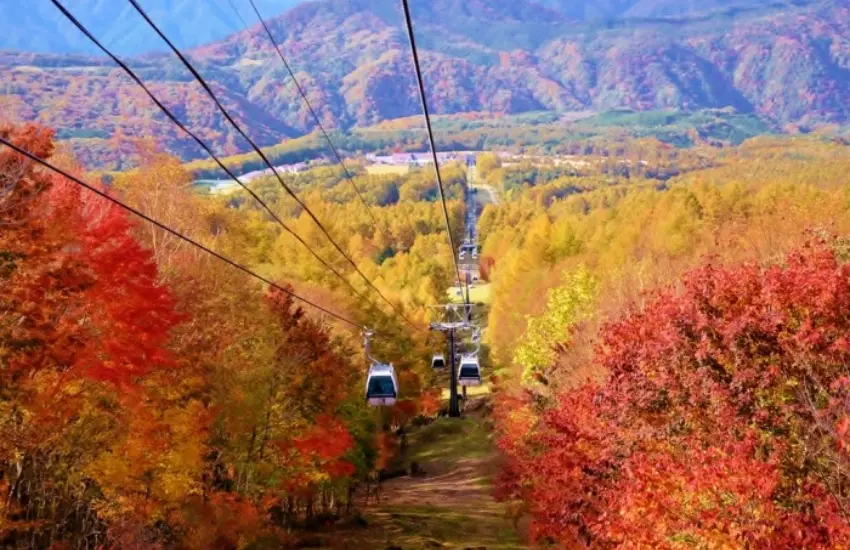 ▲約10分鐘的空中散步讓人心曠神怡，且能夠遠眺日光連山和關東平原的360度大全景。