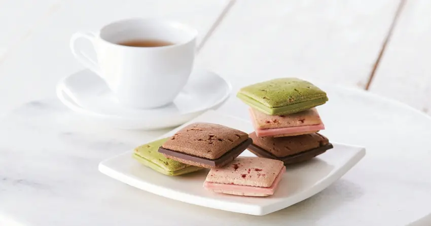 ▲板狀巧克力緊夾著糖果碎片，咬下去就有驚喜。