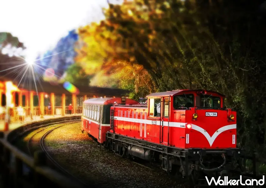 ▲阿里山森林鐵路小火車穿越山林晨光,是最經典的旅程畫面。