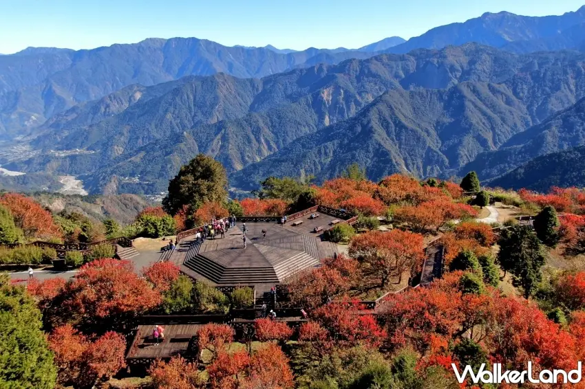 ▲小笠原山平台360度無死角視野,滿山楓紅與遠山層巒交織成最夢幻秋景。