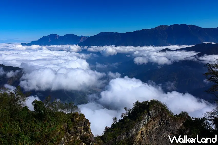 ▲阿里山秋冬氣候穩定,層層雲海壯闊翻湧,是攝影愛好者最愛的季節。