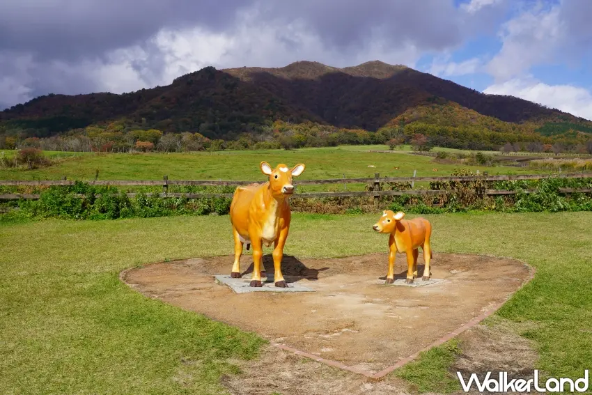 ▲「蒜山澤西島」為岡山縣真庭市的人氣觀光牧場。（攝影：楊婷雅）